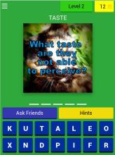 Cats Quiz Trivia截图2