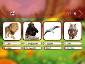 Animal Sounds & Animal Names截图4