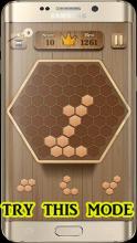 wood block puzzle free截图3