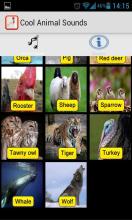 Animal Sound And Name For截图5