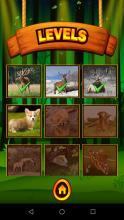 Animal Jigsaw Puzzle for Kids截图5