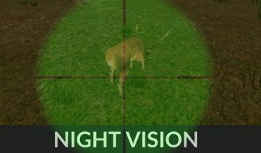 wild sniper animal hunting 3d 2019截图3