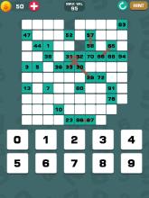 Number Knot  Number Puzzle截图1