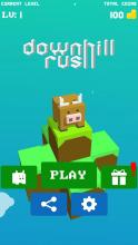 Downhill Rush截图4