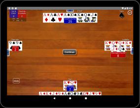Pinochle Classic截图3