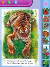 Animal Kingdom Smart Kids Logic Games and Apps截图1