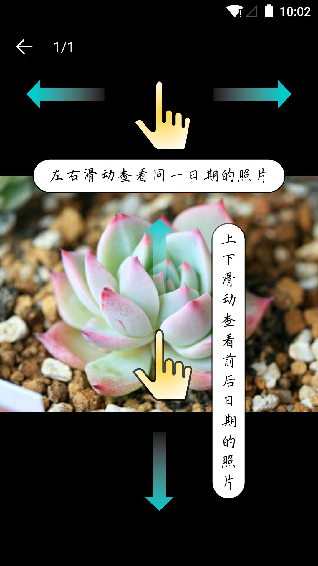 多肉成長(zhǎng)記截圖預(yù)覽