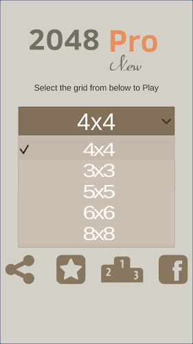 2048 Pro New截图2