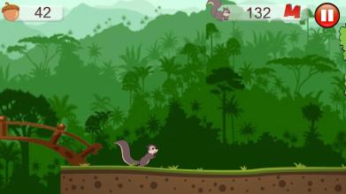 Squirrel Adventures截图1