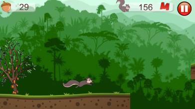 Squirrel Adventures截图5