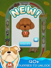 Clever Dogs  Idle Puppy Game截图4