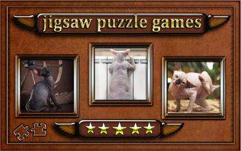 Sphynx cats jigsaw puzzle截图1