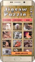 jigsaw puzzle free 2019截图3