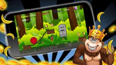 Crazy Monkey Jungle's Adventure截图5