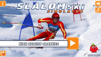 Slalom Ski Simulator截图4