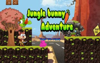 Bunny Jungle Adventure截图4