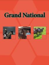 Grand National Race截图3