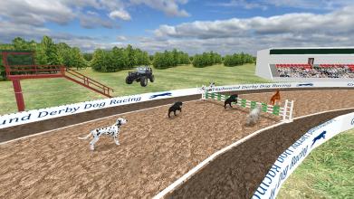 dog racing tournament pet dog stunt simulator 2019截图3