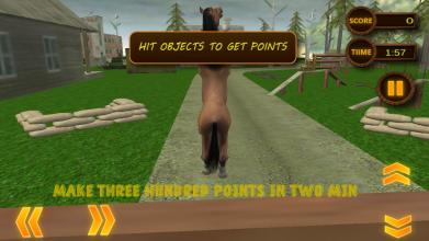 Fury Wild Horse Simulator 3D截图4