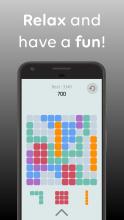 1010 2020  Block Puzzle截图1