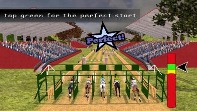 Real Horse Racing & Jumping Simulator 2018 Pro截图5