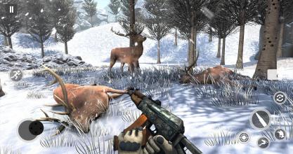 Deer Gun Hunting Games 2019 FPS Shooting Games截图3