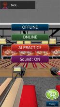 3D Master Bowling Pro Online Strike Pins截图5