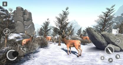 Deer Gun Hunting Games 2019 FPS Shooting Games截图1