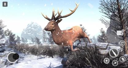 Deer Gun Hunting Games 2019 FPS Shooting Games截图4