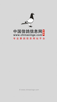 中国信鸽信息网截图