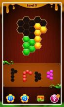 Block Puzzle Mania Game截图4