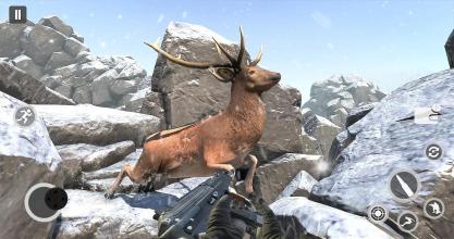 Deer Gun Hunting Games 2019 FPS Shooting Games截图5