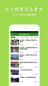 中国信鸽信息网截图