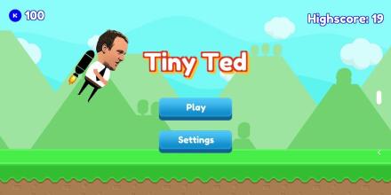 Tiny Ted截图4