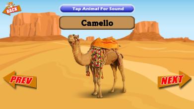 Animals ABC  Learning Spanish language截图5
