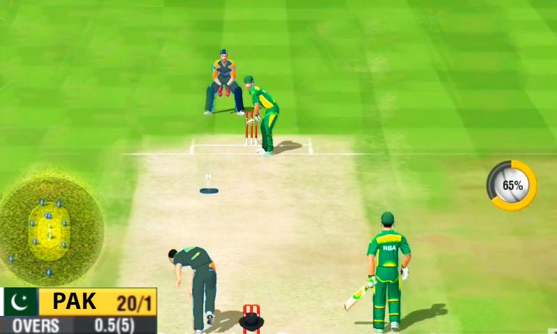 Cricket WorldCup Game Pak vs NZ Series截图3