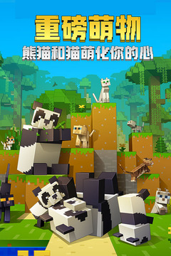 109_d8f6e81eccd4c7f7f4768ec162c3f7dd_234x360.jpg