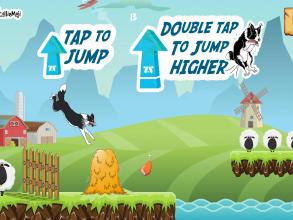 CollieRun   Dog game agility training border截图3