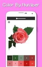 Rose Flowers Coloring Book, Color By Number Pixel截图2