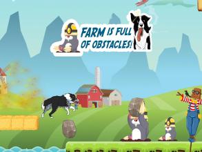 CollieRun   Dog game agility training border截图2