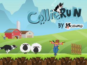 CollieRun   Dog game agility training border截图4