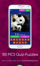 100 PICS QuizPuzzles截图4