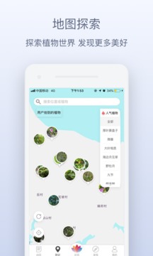 花伴侶截圖
