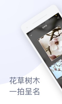 花伴侶截圖