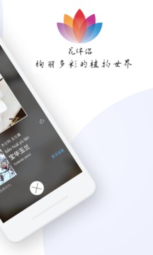 花伴侶截圖