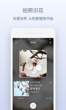 花伴侶截圖