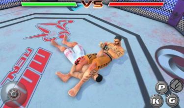 Real Fighter Ultimate fighting Arena截图3