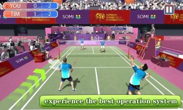 World Badminton Champion 2019  3D Badminton Star截图1