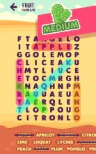 Word Search Pro Puzzles截图3