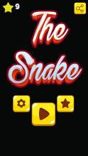 The Snake  Endless Arcade Game截图5